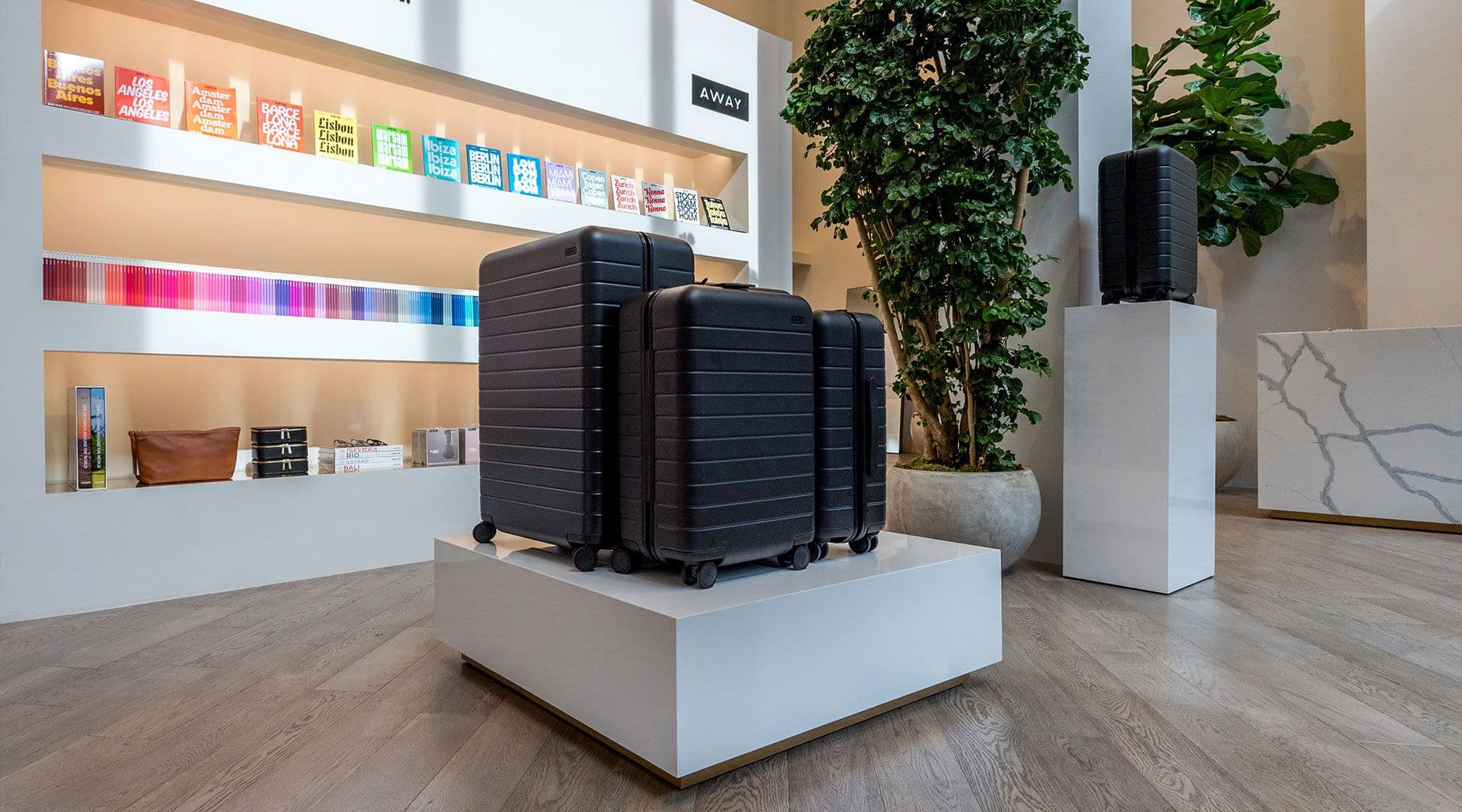Suitcase display